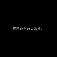 画像337